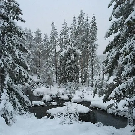 Architect In Kong Raval's Realm *