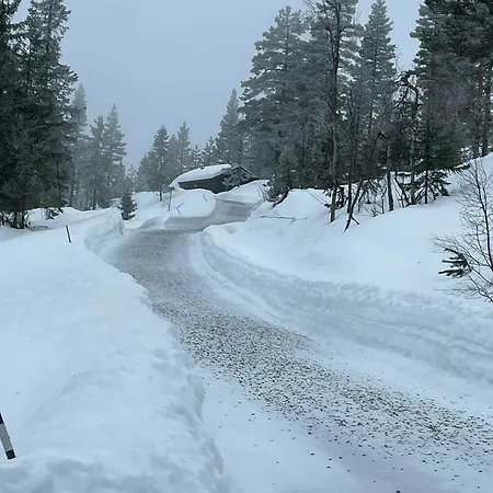 Casa vacanze Architect In Kong Raval's Realm Lindaskroken