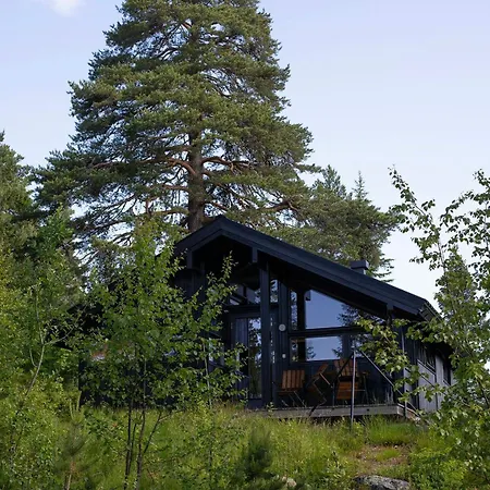 Architect In Kong Raval's Realm *