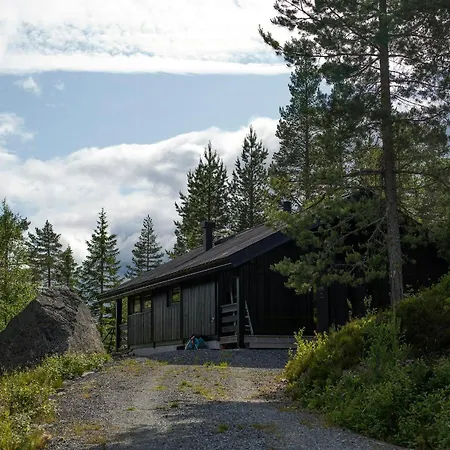 Architect In Kong Raval's Realm