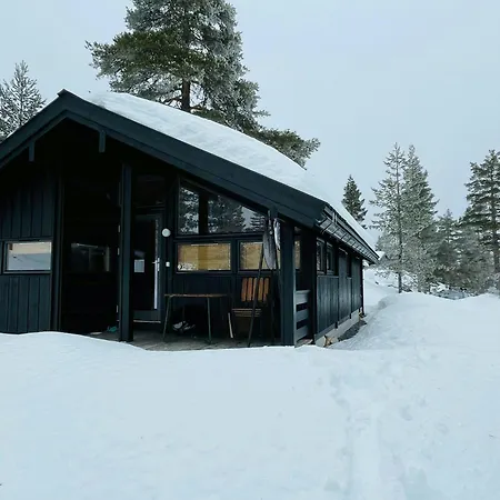 Architect In Kong Raval's Realm Lindaskroken