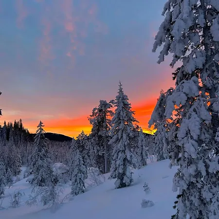 Architect In Kong Raval's Realm * Lindaskroken