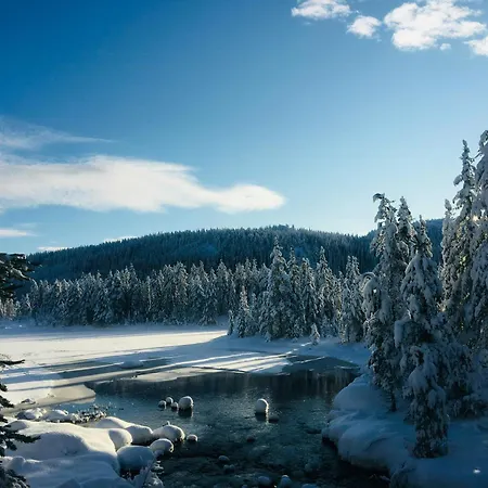 Architect In Kong Raval's Realm Lindaskroken