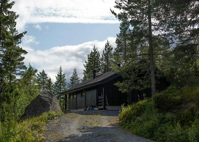 Architect In Kong Raval's Realm