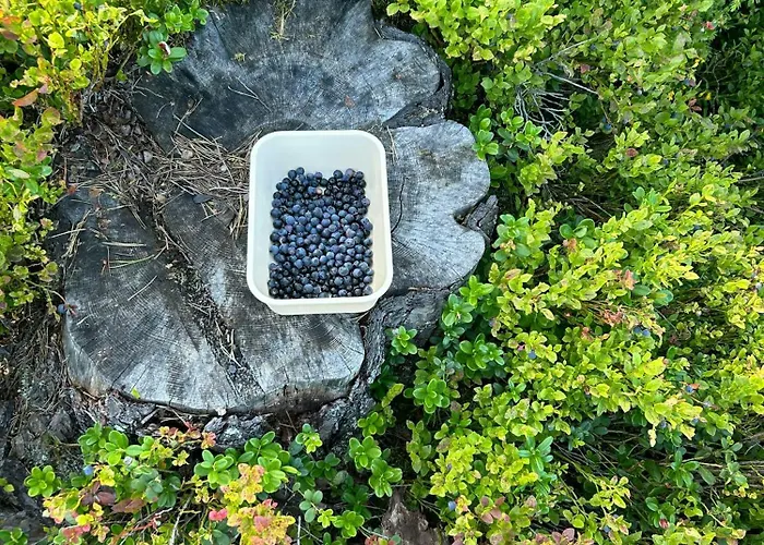 Hébergement de vacances Architect In Kong Raval's Realm