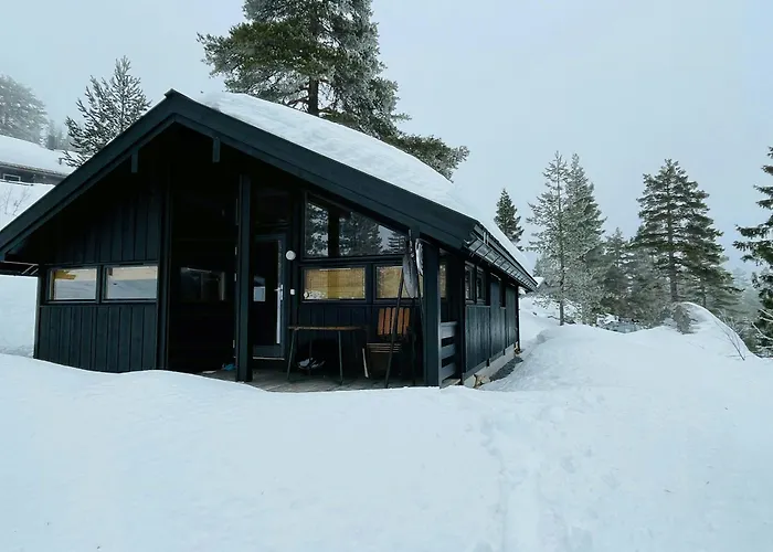 Architect In Kong Raval's Realm Lindaskroken