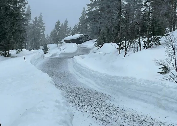 Architect In Kong Raval's Realm * Lindaskroken