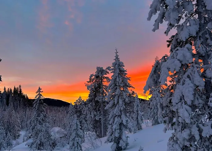 Architect In Kong Raval's Realm * Lindaskroken