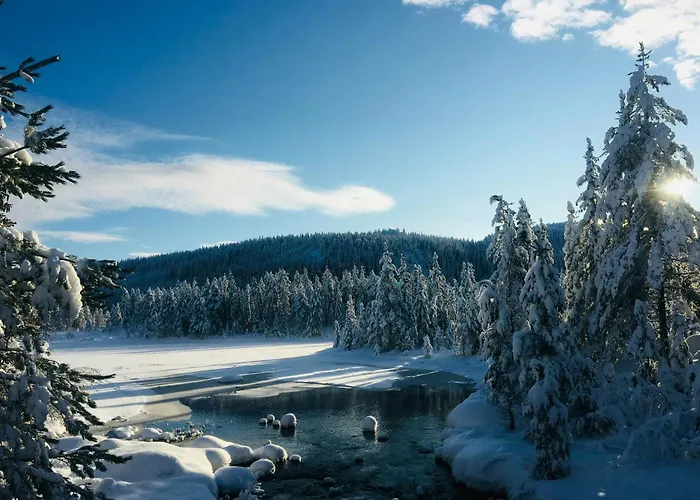 Architect In Kong Raval's Realm Lindaskroken