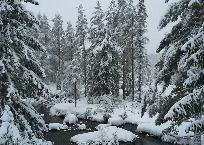 Architect In Kong Raval's Realm Hébergement de vacances *