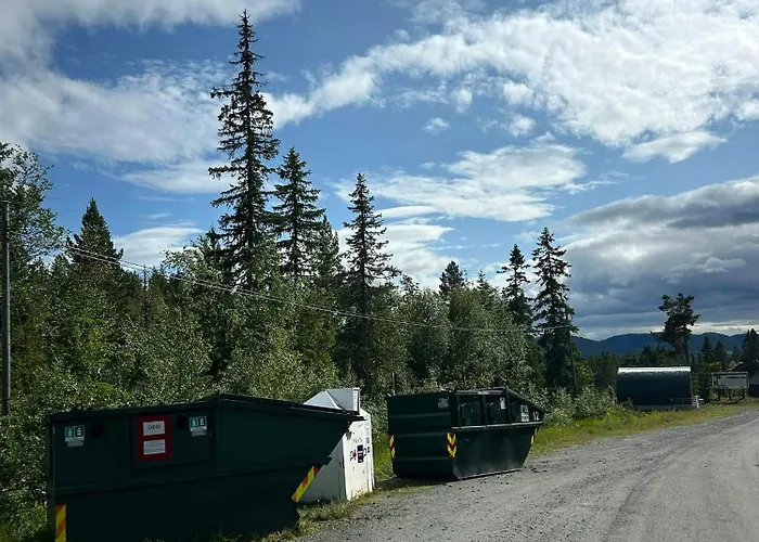 Architect In Kong Raval's Realm * Lindaskroken